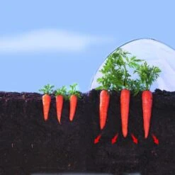 Kweekfolie / Tunnelfolie - 2 × 10 M -Buiten Tuin 1534088192 2 600