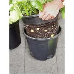 ESSCHERT DESIGN Aardappelpot - PotatoPot - 12 Liter -Buiten Tuin aardappelpot 1579858163 1 600