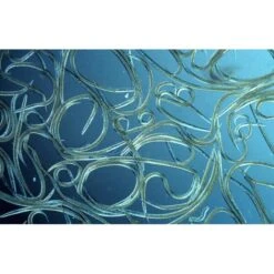 Aquanemix 1.25 V - Doseersproeier Voor Aaltjes -Buiten Tuin auquanemix 125 v doseersproeier 1497858309 1 600