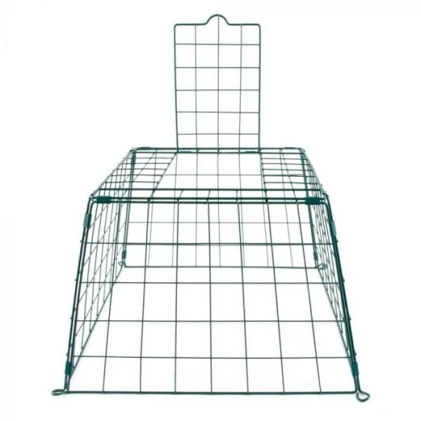 Beschermkooi Maxi Tuinvogels 56 Cm 1 Beschermkooi Maxi Tuinvogels 56 Cm