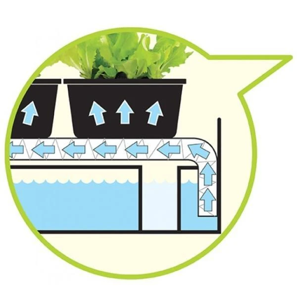 Bewateringstray + Vloeidoek 57 × 39 × 5 Cm 2 Bewateringstray + Vloeidoek 57 × 39 × 5 Cm - Image 2