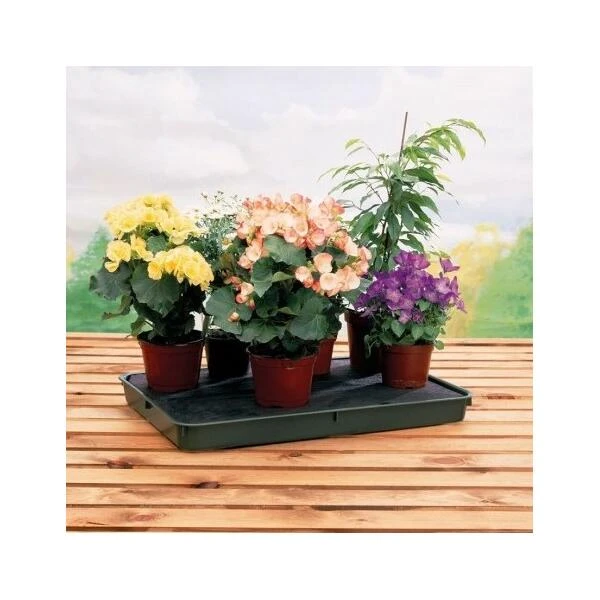 Bewateringstray + Vloeidoek 57 × 39 × 5 Cm 4 Bewateringstray + Vloeidoek 57 × 39 × 5 Cm - Image 4