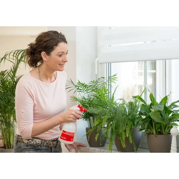 Birchmeier Foxy Plus 3 Birchmeier Foxy Plus - Image 3