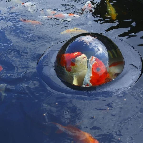 Drijvende Visbeleving - 56 Cm 2 Drijvende Visbeleving - 56 Cm - Image 2