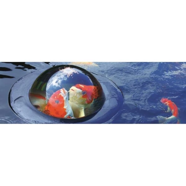 Drijvende Visbeleving - 56 Cm 5 Drijvende Visbeleving - 56 Cm - Image 5