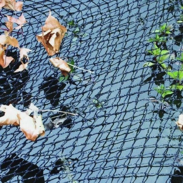 Fijnmazig Vijvernet 6 × 5 Meter 1 Fijnmazig Vijvernet 6 × 5 Meter