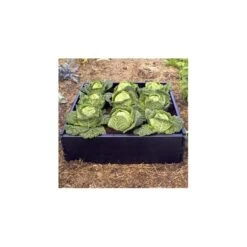 Groeibed Vierkant Kunststof - 97,5 × 97,5 × 25 Cm -Buiten Tuin groeibed 975 x 975 x 25 cm 1484053179 3 600