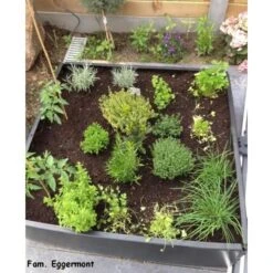 Groeibed Vierkant Kunststof - 97,5 × 97,5 × 25 Cm -Buiten Tuin groeibed 975 x 975 x 25 cm 1484053179 4 600