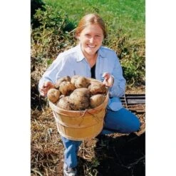 Groeibed Vierkant Kunststof - 97,5 × 97,5 × 25 Cm -Buiten Tuin groeibed 975 x 975 x 25 cm 1490036317 1 600