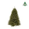 Kerstboom Forest Frosted 185 Cm Groen - Triumph Tree