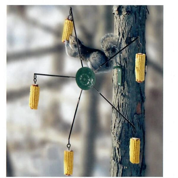 Maïsmolen Voor Eekhoorns 1 Maïsmolen Voor Eekhoorns