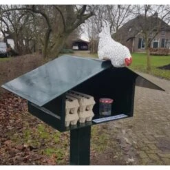 Nieuwsgierige Kip Tuinbeeld -Buiten Tuin nieuwsgierige kip 1609930328 1 600