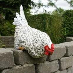 Nieuwsgierige Kip Tuinbeeld -Buiten Tuin nieuwsgierige tafelkip 1568377839 3 600