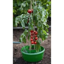 Plant- En Gietpot Groen - Set Van 3 Stuks 9 Plant- En Gietpot Groen - Set Van 3 Stuks -Buiten Tuin plant en gietpot 1484054799 4 600