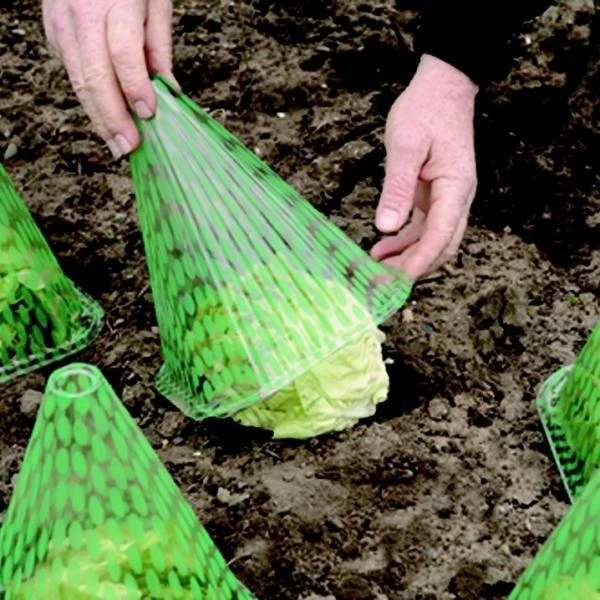 Plantenhoed - Zonnehoed - Set Van 10 Stuks 1 Plantenhoed - Zonnehoed - Set Van 10 Stuks