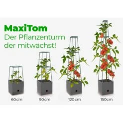 Plantentoren Maxitom Met Waterreservoir - Antraciet 9 Plantentoren Maxitom Met Waterreservoir - Antraciet -Buiten Tuin plantentoren maxitom antraciet 1677571236 4 600