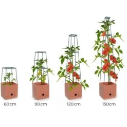 Plantentoren Maxitom Met Waterreservoir - Terracotta -Buiten Tuin plantentoren maxitom terracotta 1680165024 1 600