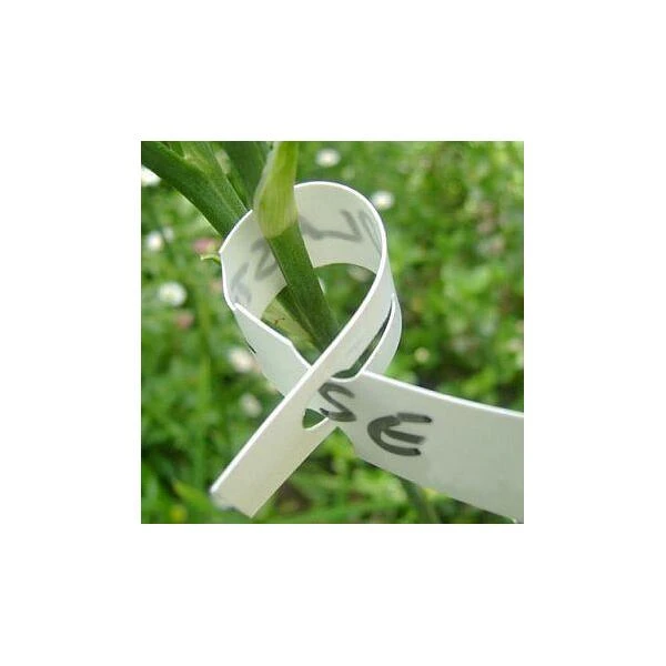 Sleufetiketten Wit - Set Van 100 Stuks 2 Sleufetiketten Wit - Set Van 100 Stuks - Image 2