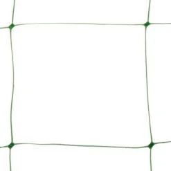 Klimgaas Erwten En Bonen 2m × 10 M -Buiten Tuin steungaas klimgaas 2 x 10 meter 1484065488 1 600