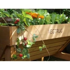 Vegtrug Verhoogde Kweektafel - 1 × 0,8 × 0,8 M -Buiten Tuin vegtrug 1 m 1484054491 4 600