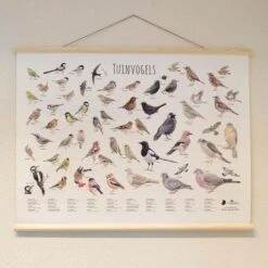 Wanddoek Tuinvogels -Buiten Tuin wandkaart tuinvogels 1541600712 1 600